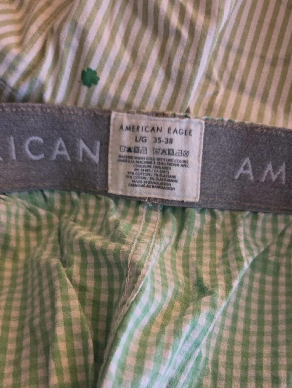 American Eagle Outfitters Light Green Gingham Shorts with Clover Print